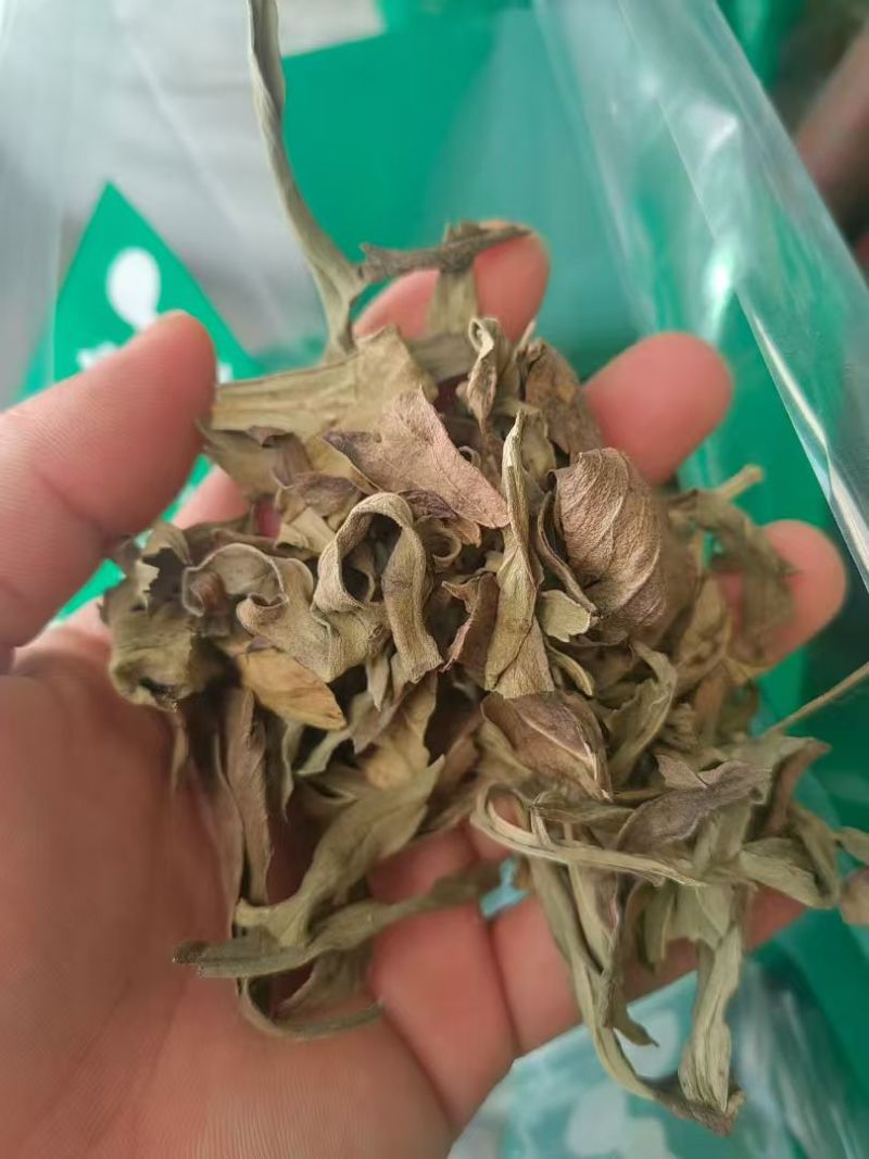 草乌叶各种药材加工细粉