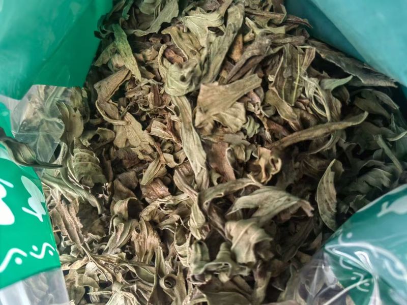 草乌叶各种药材加工细粉