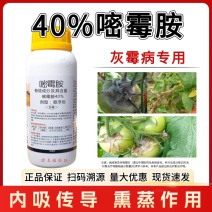 40%嘧霉胺番茄黄瓜草莓柑橘灰霉病叶霉病专用农药杀菌剂