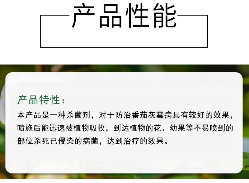 40%嘧霉胺番茄黄瓜草莓柑橘灰霉病叶霉病专用农药杀菌剂