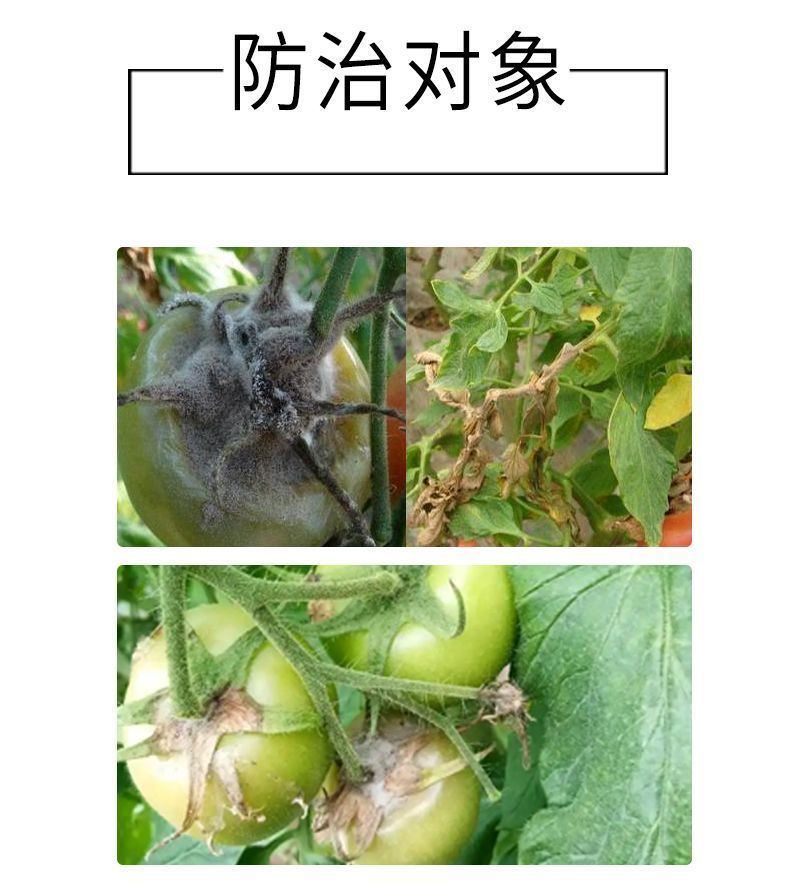 40%嘧霉胺番茄黄瓜草莓柑橘灰霉病叶霉病专用农药杀菌剂