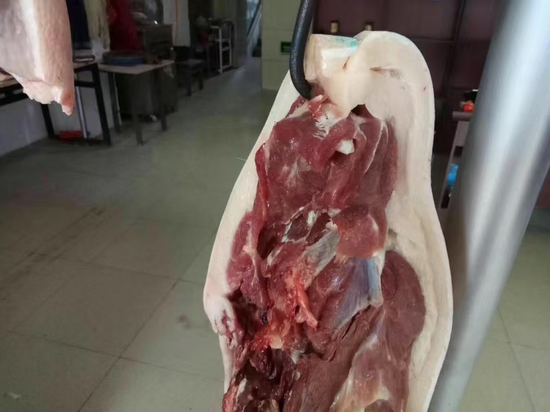 前腿肉精品土猪肉品质保证量大从优欢迎来电咨询