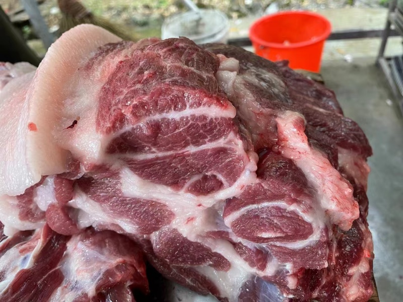 前腿肉精品土猪肉品质保证量大从优欢迎来电咨询