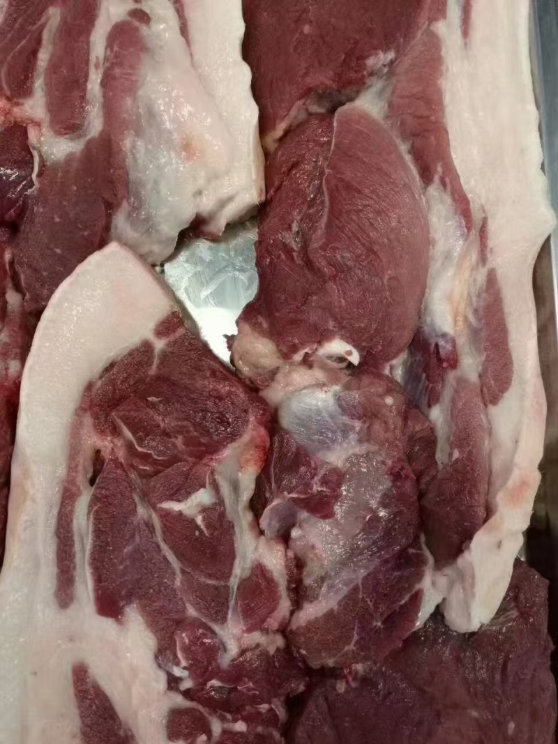 前腿肉精品土猪肉品质保证量大从优欢迎来电咨询
