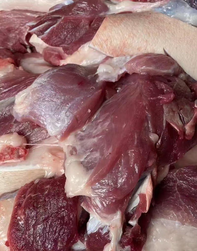 后腿肉精品黑土猪土猪肉品质保证供应全国市场电商