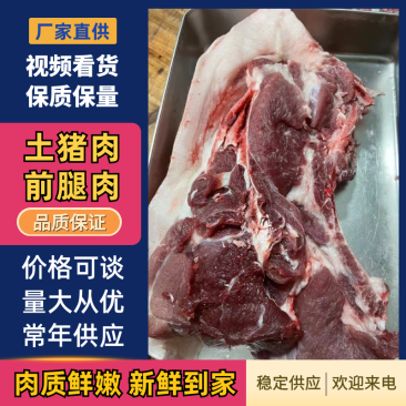 前腿肉精品土猪肉品质保证量大从优欢迎来电咨询
