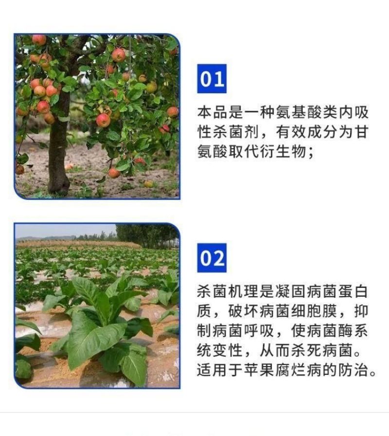1.8%辛菌胺醋酸盐腐烂病果锈病干腐病果树清园杀菌剂涂喷