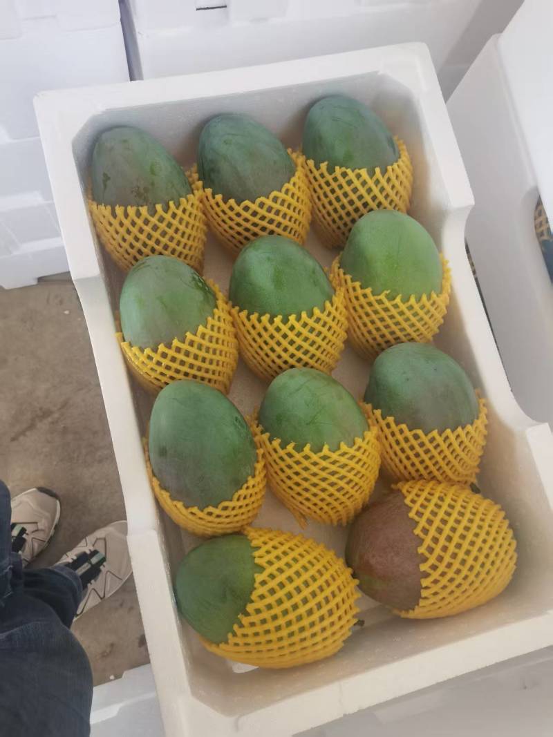 凯特芒大量有货产地直发对接电商诚信经营