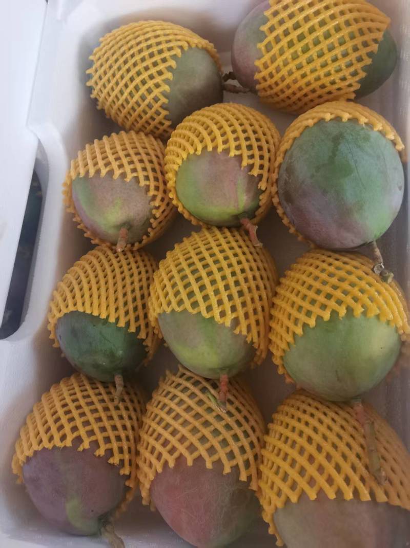 凯特芒大量有货产地直发对接电商诚信经营