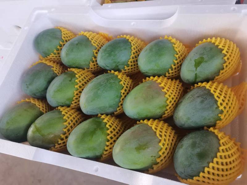 凯特芒大量有货产地直发对接电商诚信经营