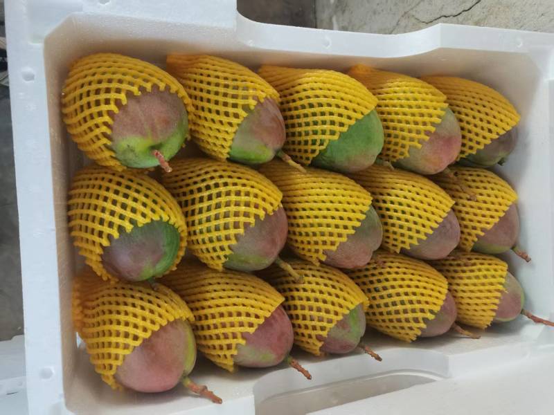 凯特芒大量有货产地直发对接电商诚信经营