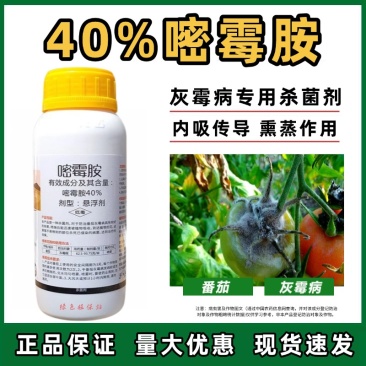 40%嘧霉胺灰霉病专用杀菌剂灰霉病菌核病叶霉病农用杀菌剂