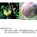 40%嘧霉胺灰霉病专用杀菌剂灰霉病菌核病叶霉病农用杀菌剂