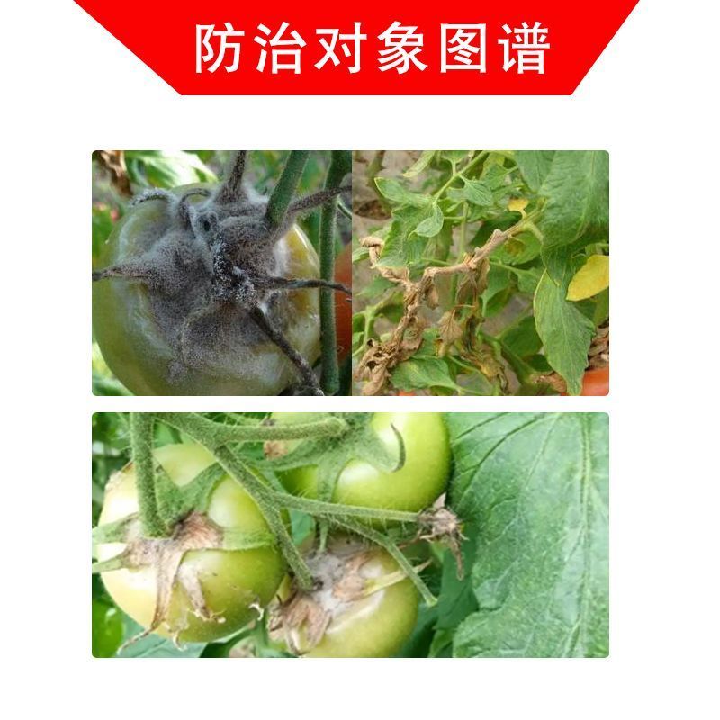 40%嘧霉胺灰霉病专用杀菌剂灰霉病菌核病叶霉病农用杀菌剂