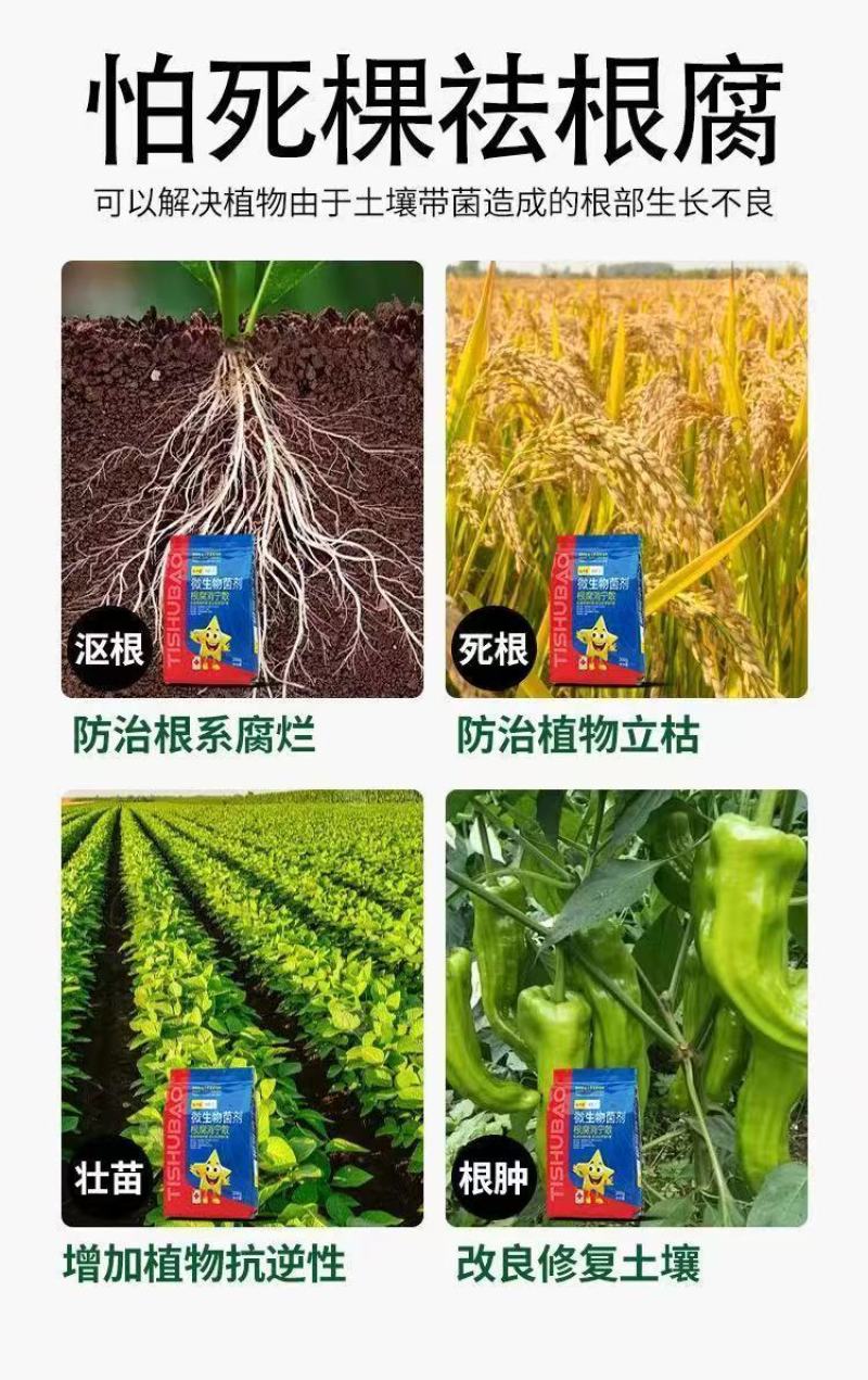 微生物菌剂根腐消宁散枯草芽孢杆菌生根壮苗死苗烂根枯萎病根