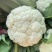 松花菜有机菜花量大质优价格优惠一手货源欢迎采购