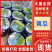 【精品】旱黄瓜货源充足辽宁产区品质保证价格实惠欢迎采购