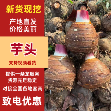 【全国发货】云南香芋人头芋，淀粉含量高，口感软糯对接商超