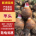 【全国发货】云南香芋人头芋，淀粉含量高，口感软糯对接商超
