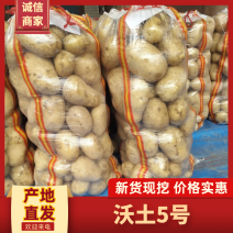 专业小土豆，电商，实验一，希森，等可视频看货