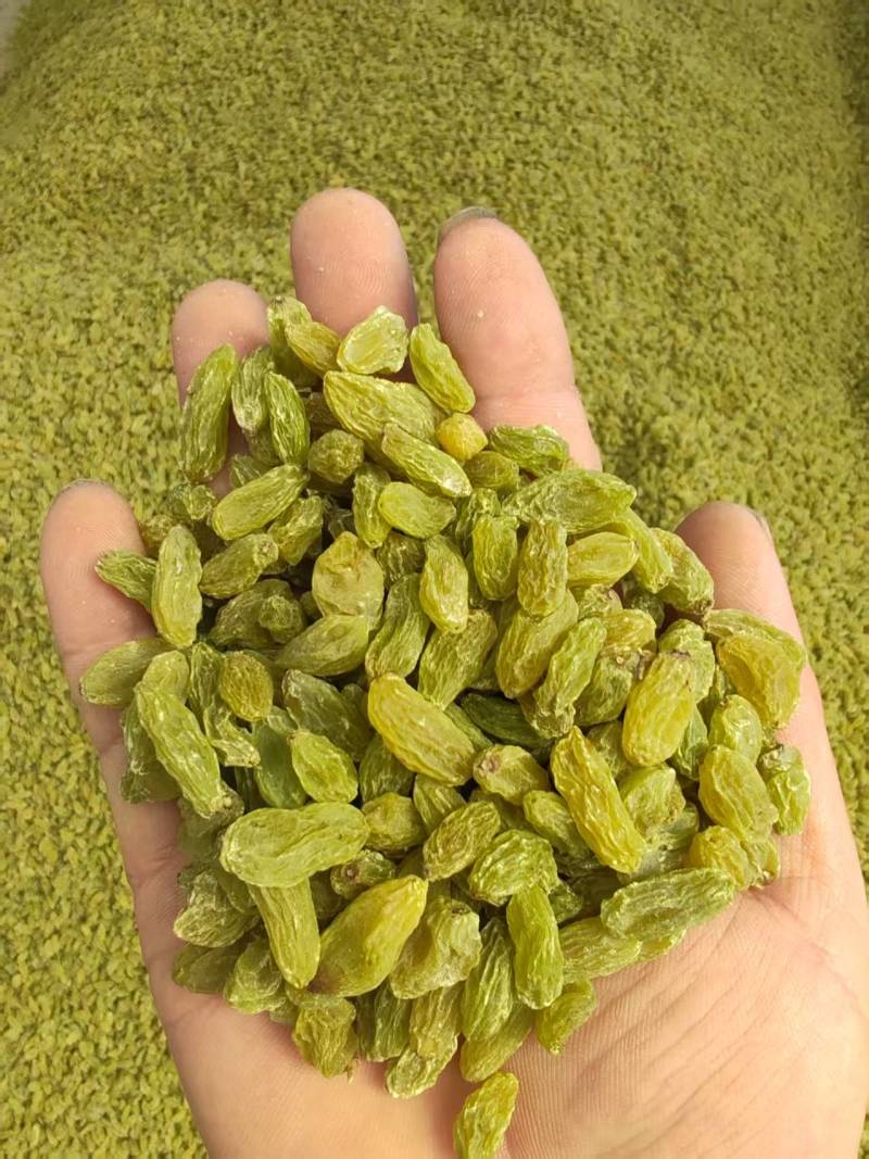 无核白葡萄干，量大质优价格优惠一手货源欢迎咨询采购