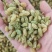 葡萄干量大质优价格优惠一手货源欢迎咨询采购