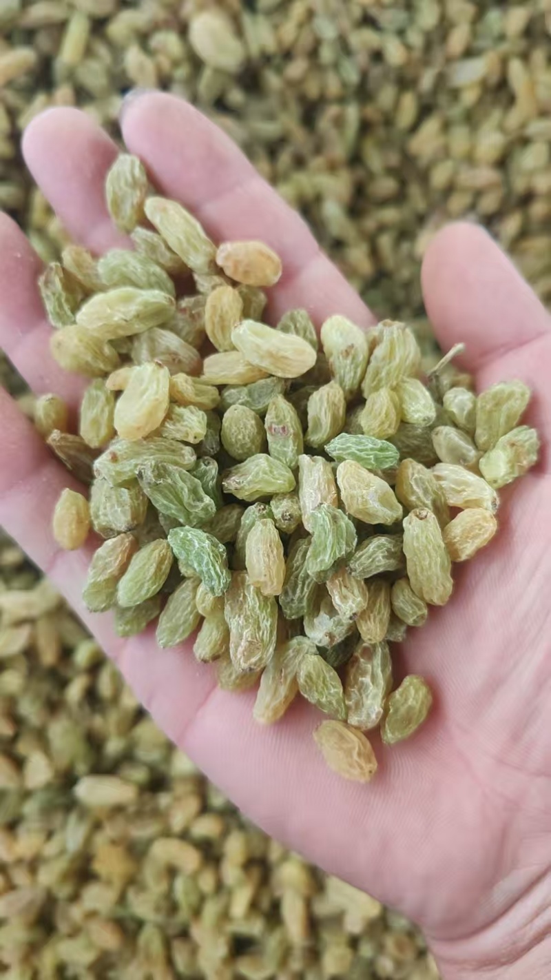 葡萄干量大质优价格优惠一手货源欢迎咨询采购