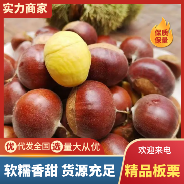 【精选】板栗，保证质量，产地直发，一件代发，对接电商