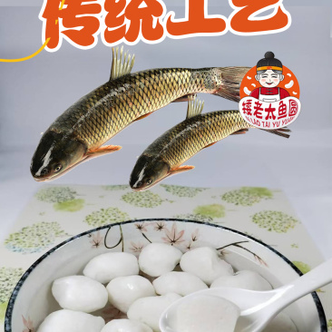 矮老太鱼圆纯手工草鱼丸质量保证资质齐全顺丰冷链包邮