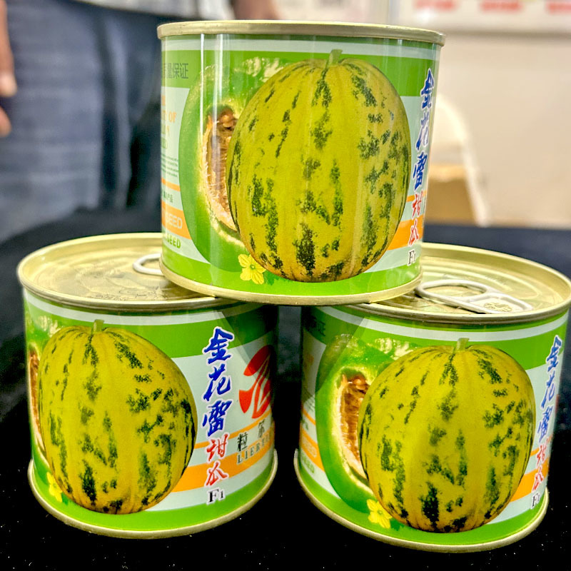 甜瓜种子花皮花雷甜瓜金花雷甜瓜基地专用品种