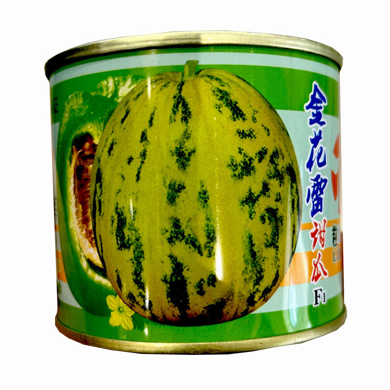 甜瓜种子花皮花雷甜瓜金花雷甜瓜基地专用品种