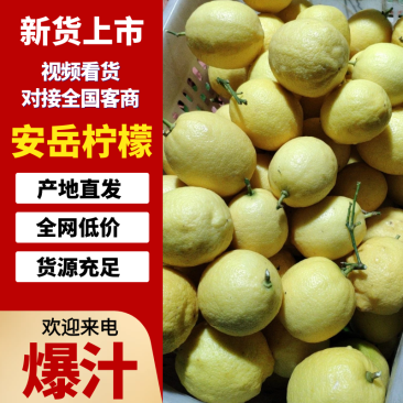 安岳柠檬黄柠檬奶茶店直供一件代发整车批发各大电商网店