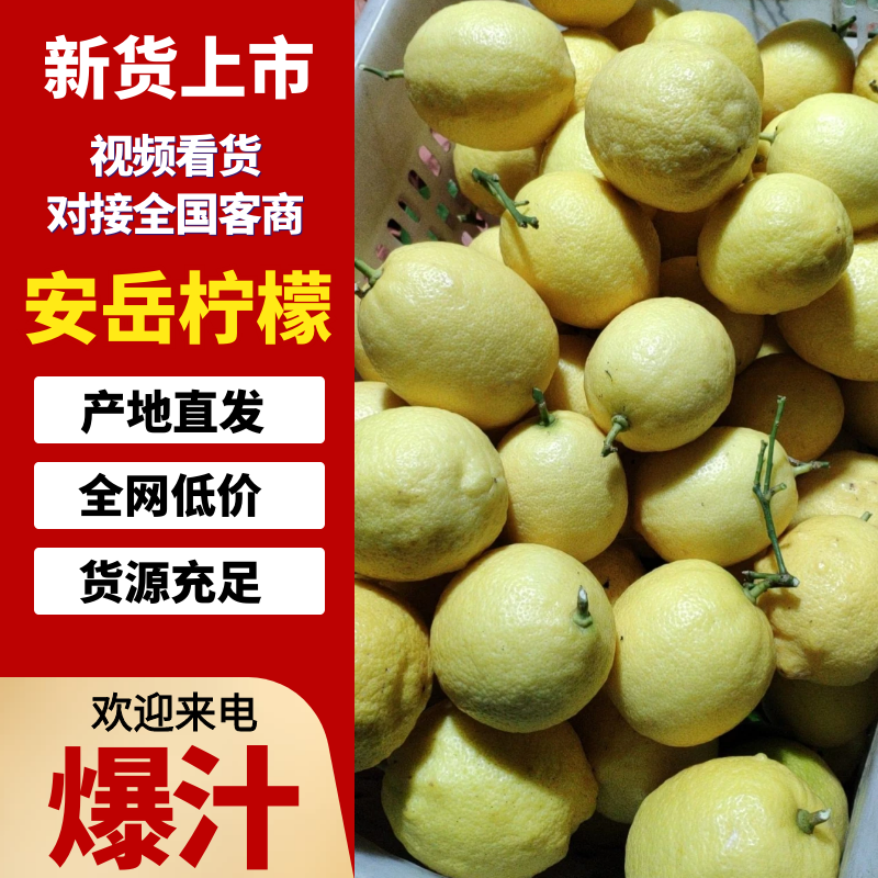 安岳柠檬黄柠檬奶茶店直供一件代发整车批发各大电商网店