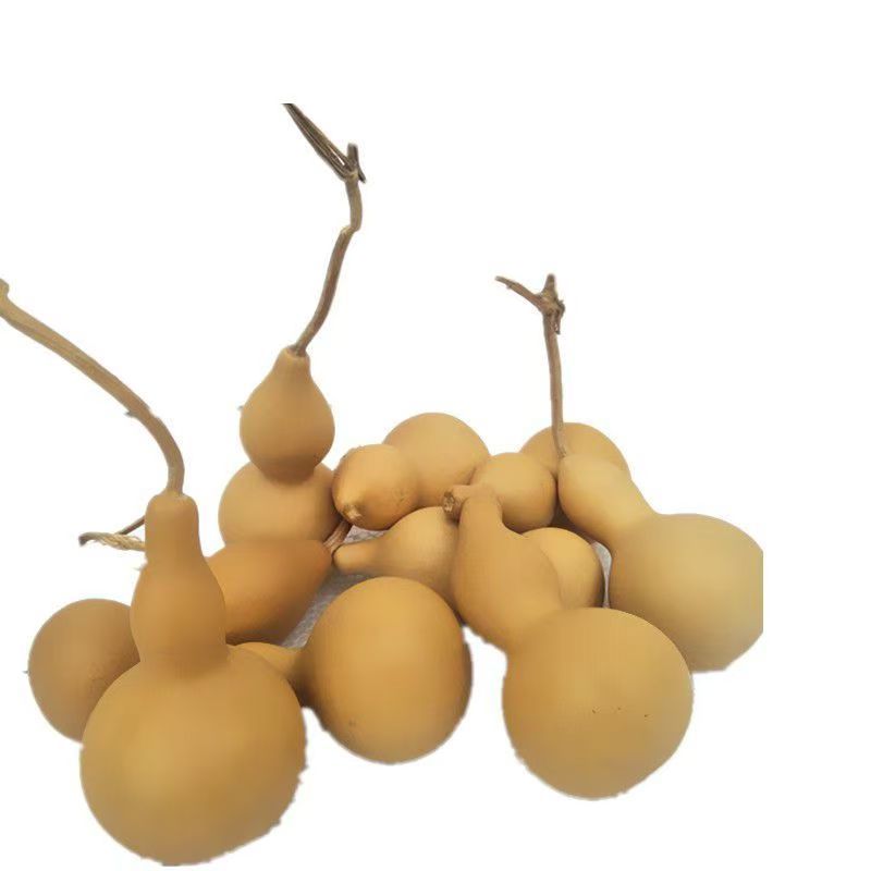 山西文玩葫芦常年供应一件也可发规格齐全量大价优