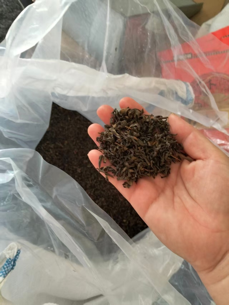福建涂岭正山小种/涂岭红茶产地直发/量大价优/欢迎下单