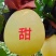 【热卖】白柚柚子产地一手货源现摘现发可实地考察