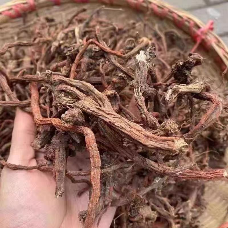 丹参条正宗野丹参天然无硫红丹参条丹参丹参粉紫丹参