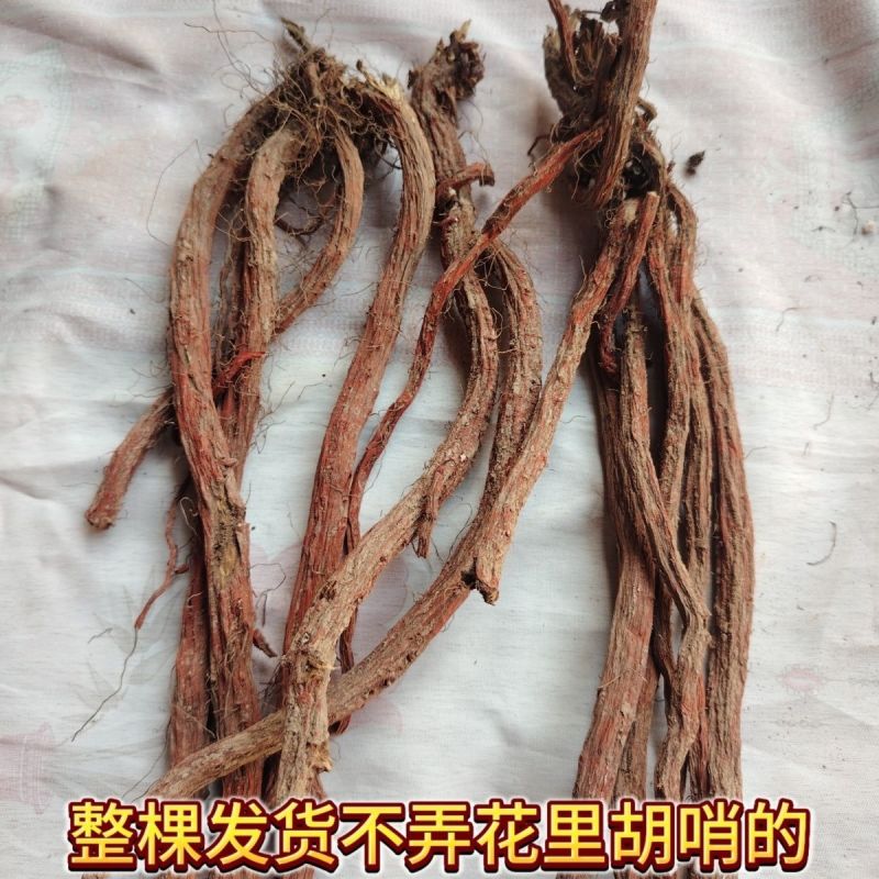 丹参条正宗野丹参天然无硫红丹参条丹参丹参粉紫丹参