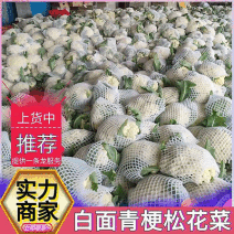 《松花菜》山东菜花/聊城基地直供/现货供应/可全国代发