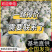 松花菜&白面青梗/产地大量现货供应中/全国发货/欢迎来电