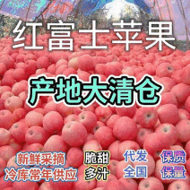 急售:《电商货，市场货》电商一件代发，冷库苹果大掉价