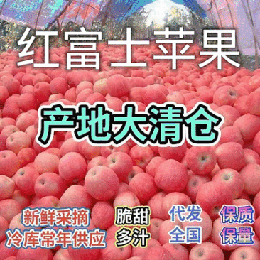 急售:《电商货，市场货》电商一件代发，冷库苹果大掉价