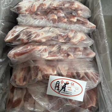 猪月牙品质保证大量供应欢迎来咨询