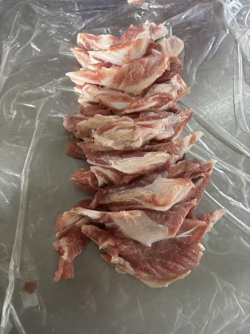 猪月牙品质保证大量供应欢迎来咨询