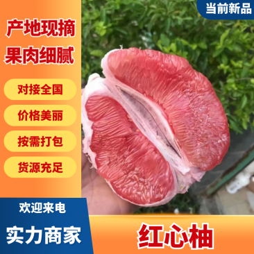 红心柚湖北宜昌柚子实力供应对接电商社区团购等