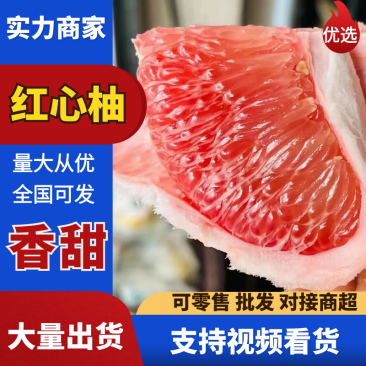 【热卖】红心柚湖北柚子果园直采口口爆汁对接全国
