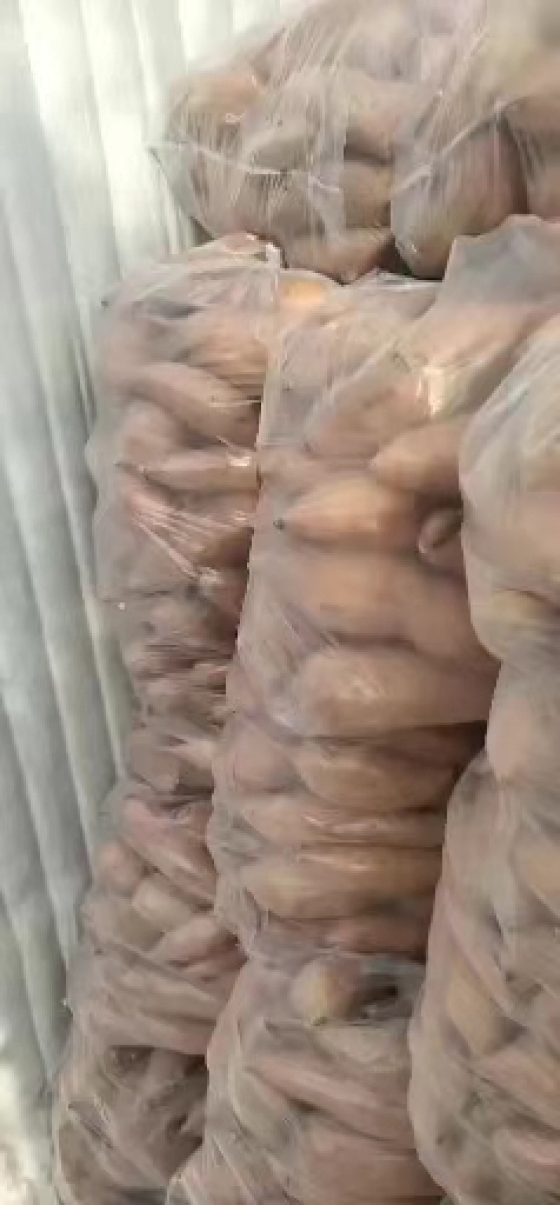 龙薯九蜜薯大量现货出货中，产地直发量大从优对接全国