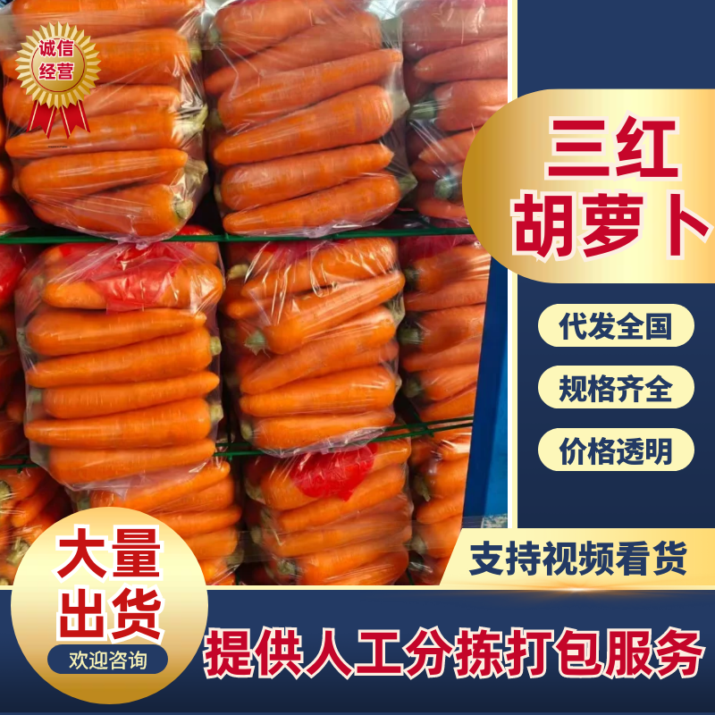 开封三红胡萝卜【胡萝卜】精品，水洗，土货诚信经营