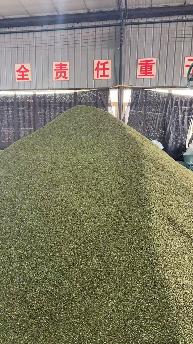 花椒青花椒重庆青花椒大量上市，开口率90，支持视频看货