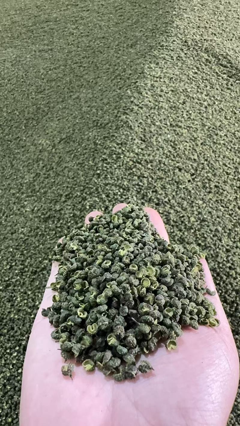青花椒重庆花椒大量上市，品质无忧，可视频看货，欢迎下单